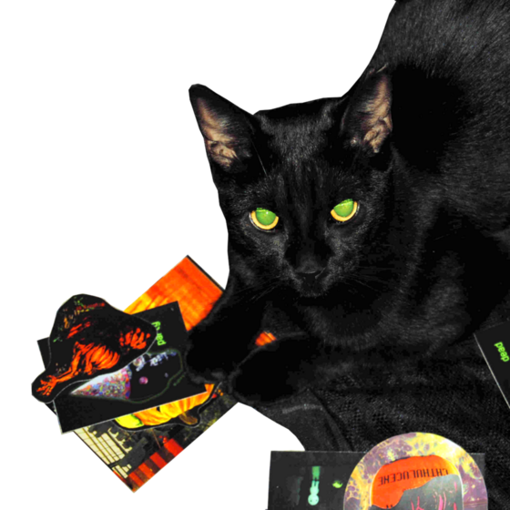 picture of Dax, a black cat. In front of her there is a batch of halloween-themed stickers
