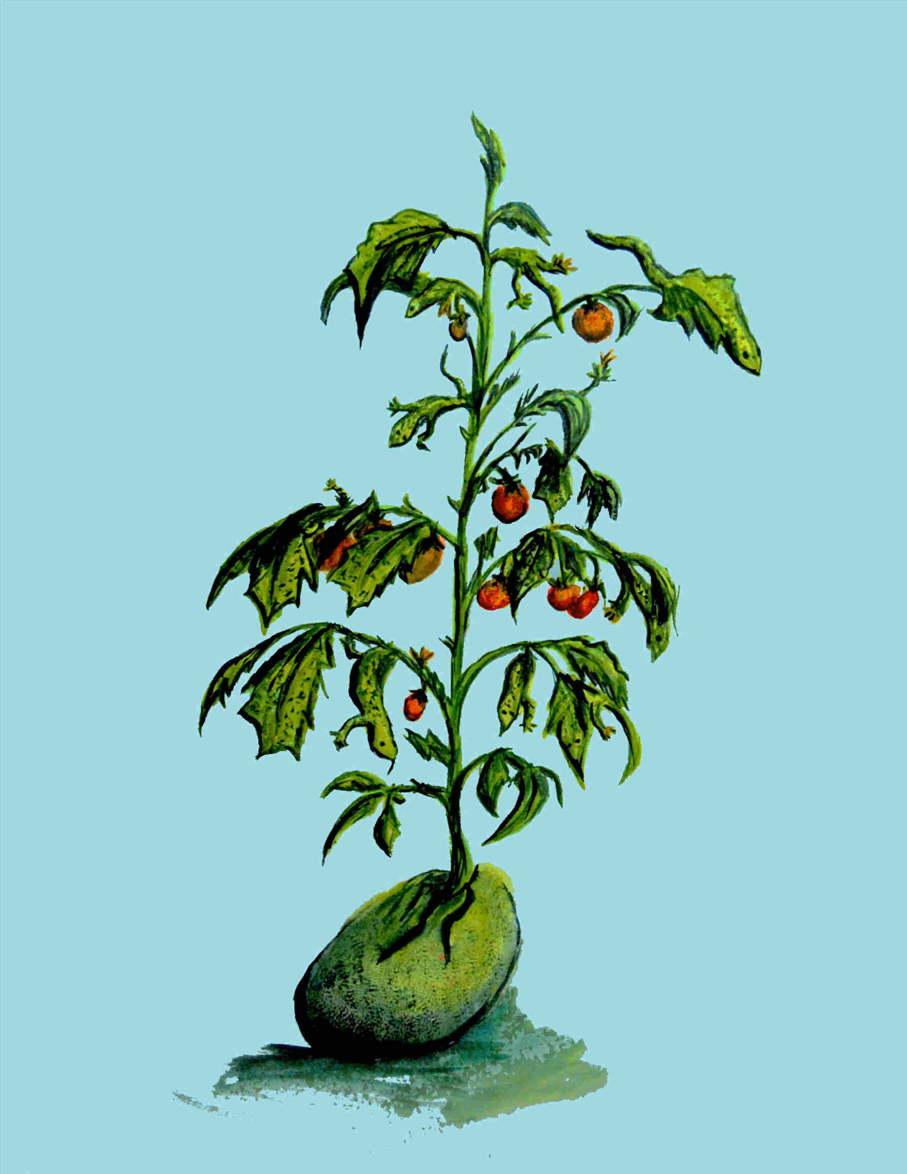 painting of a tomato plant, its leaves are in fact lizards